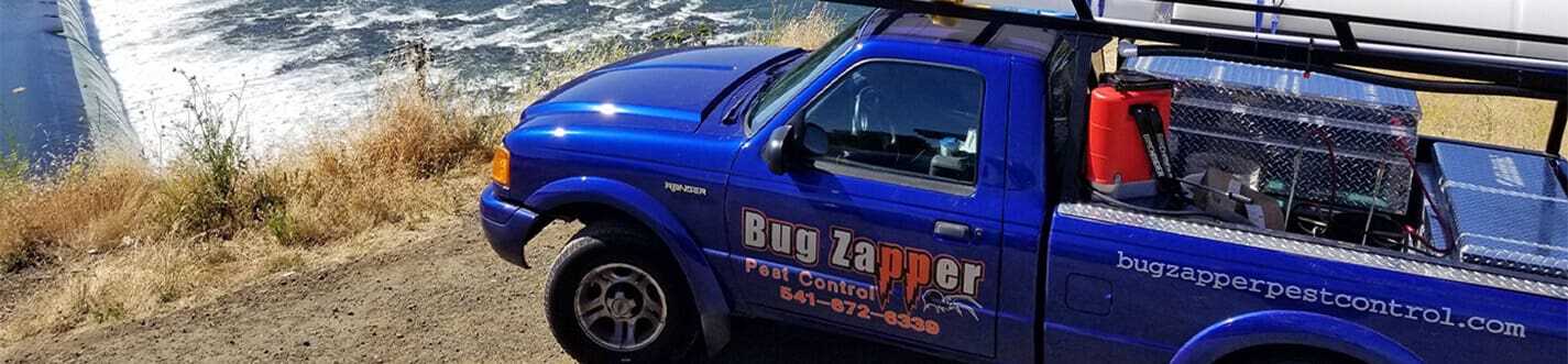 Bugzapper Pest Control